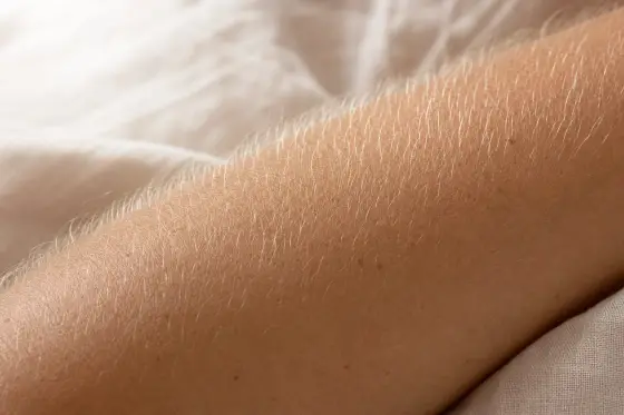 Avant-bras adulte en gros plan, duvet blond très clair éclairé à contre-jour sur un drap de lin