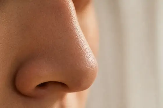 Gros plan sur l'arête d'un nez avec une peau texturée éclairée par une lumière douce et naturelle