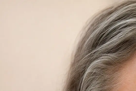 Mèches de cheveux blancs et gris entremêlées à des cheveux foncés, texture naturelle, lumière douce
