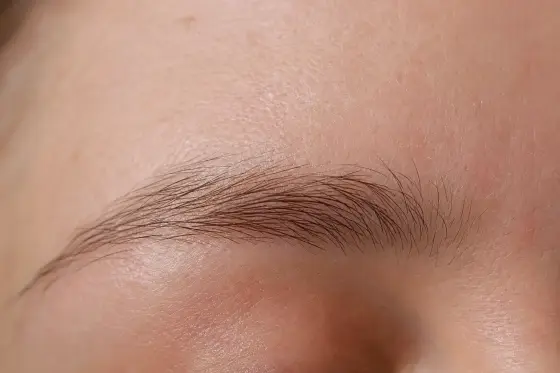 Sourcil naturel épars photographié de près, quelques poils fins et espacés sur peau claire