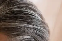 Mèche de cheveux mêlant fils blancs et foncés, texture naturelle, lumière douce