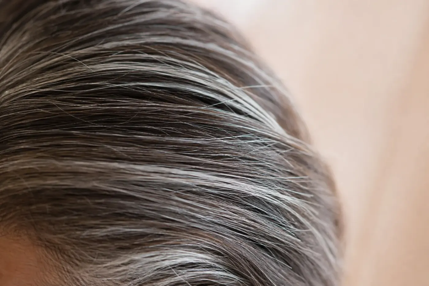 Mèche de cheveux mêlant fils blancs et foncés, texture naturelle, lumière douce